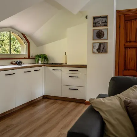 Apartamento W Willi Debowej Z Dostepem Do Sauny *