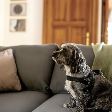 Apartamento W Willi Debowej Z Dostepem Do Sauny Bielawa (Dzierzoniow)