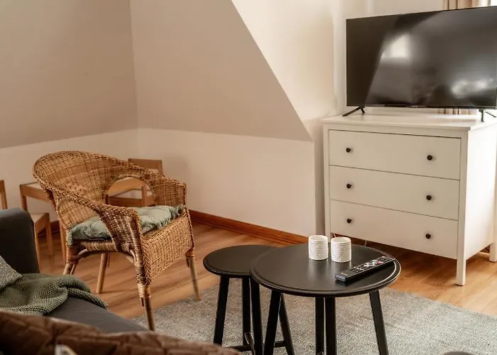 W Willi Debowej Z Dostepem Do Sauny Apartment