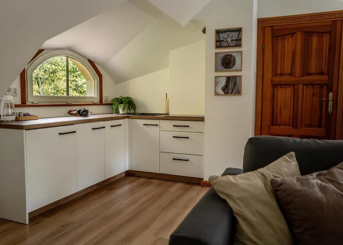 Apartment W Willi Debowej Z Dostepem Do Sauny *