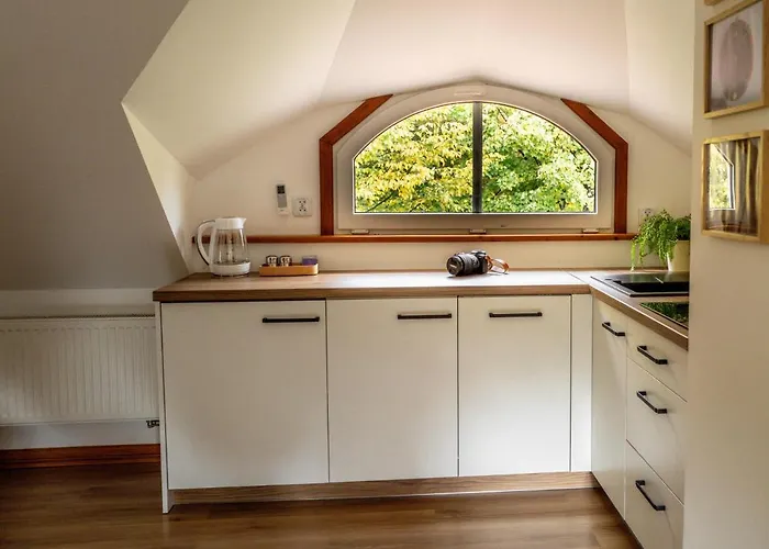 W Willi Debowej Z Dostepem Do Sauny *