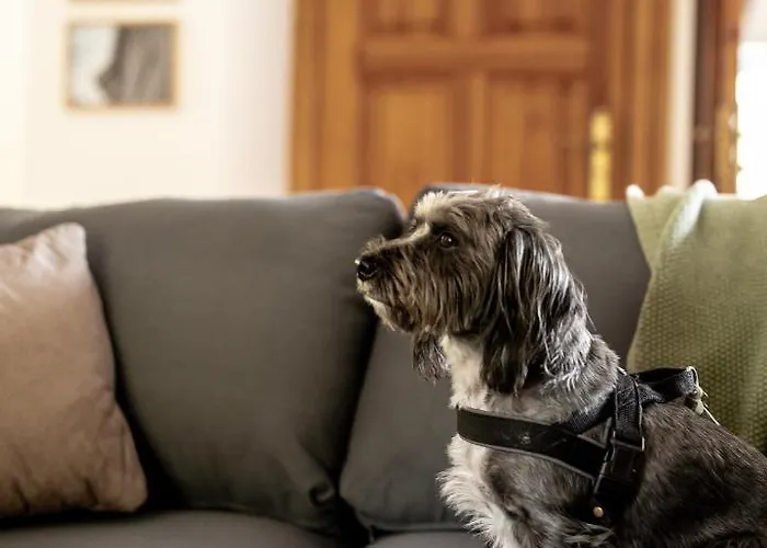 Apartment W Willi Debowej Z Dostepem Do Sauny Bielawa (Dzierzoniow)