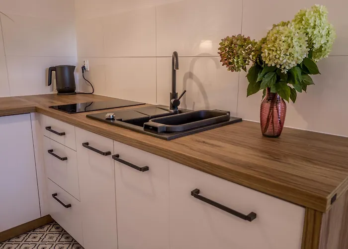 W Willi Debowej Z Dostepem Do Sauny Apartment